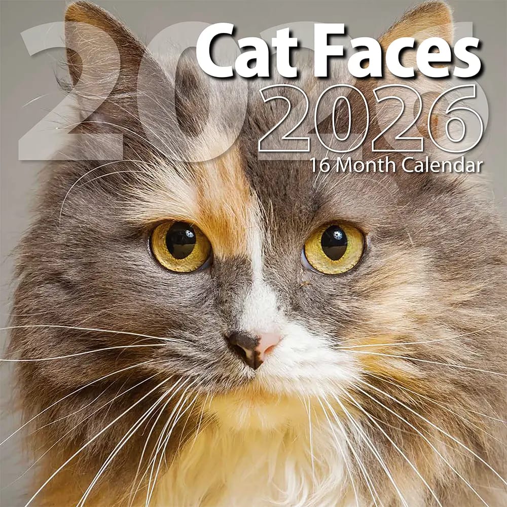 2026 Cat Faces Themed 16-Month Wall Calendar, 12"