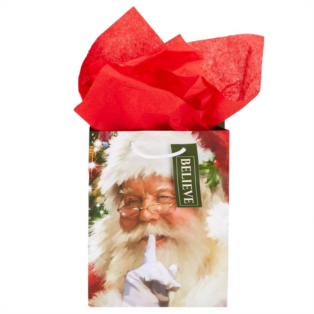 Medium Traditional Christmas Gift Bag