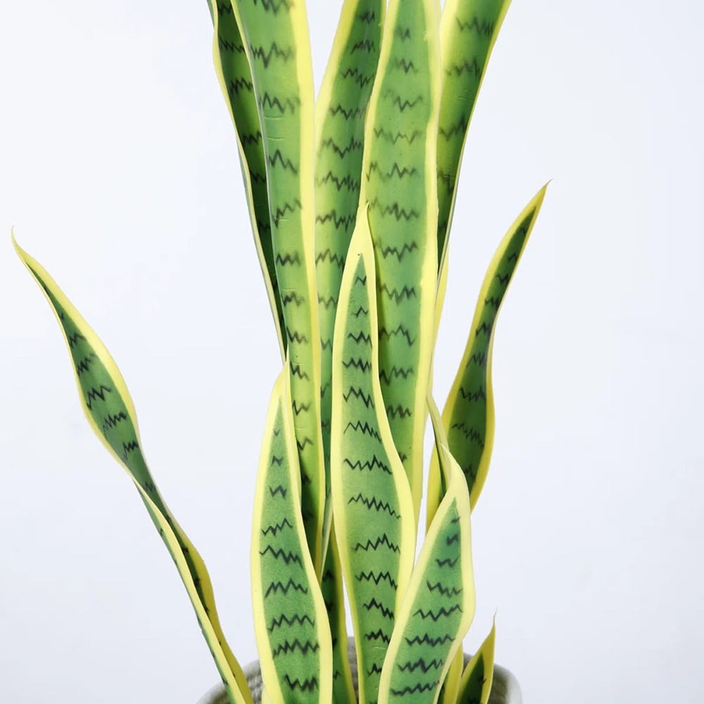 Vintage Home 36" Artificial Snake Plant in Rope Basket