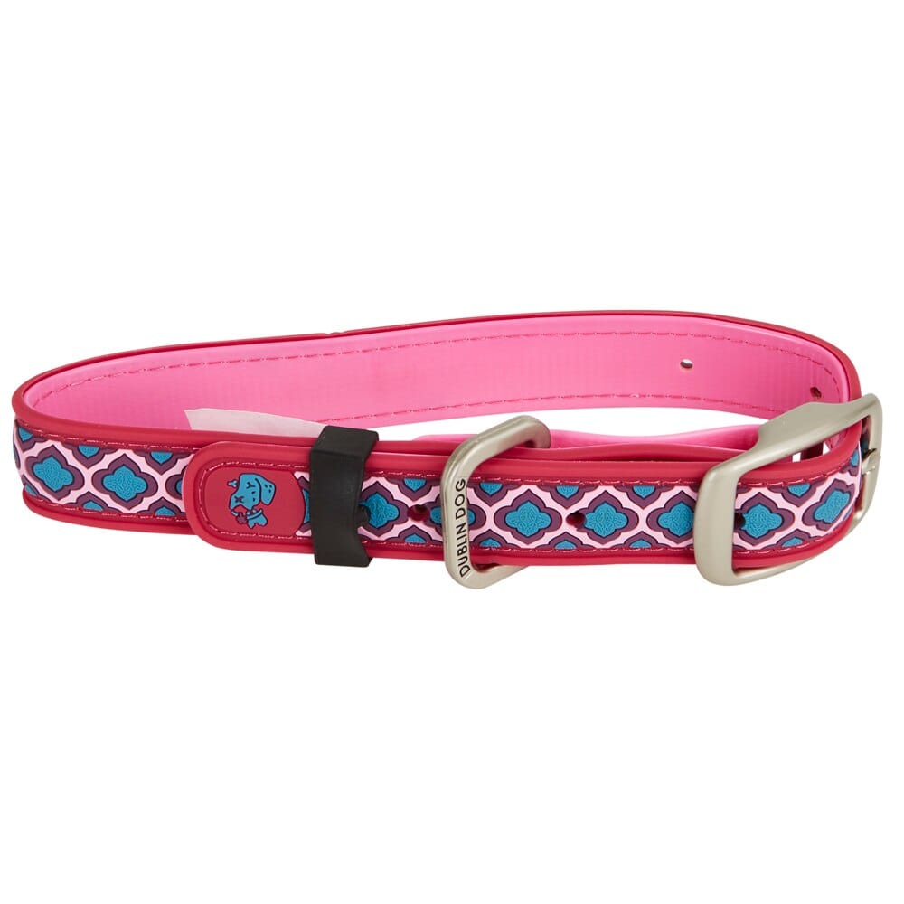 Dublin Adjustable Dog Collar, MED