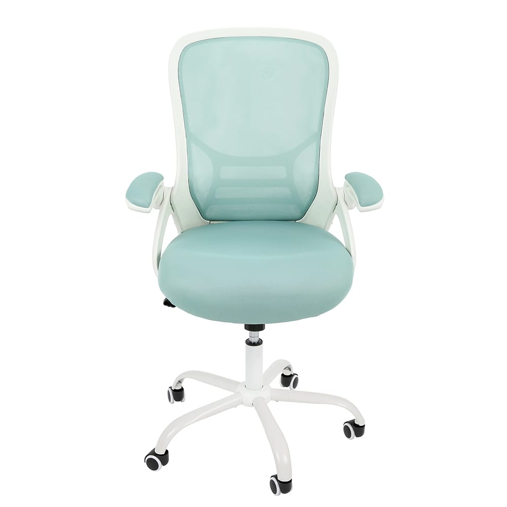 HYLONE Adjustable Ergonomic Office Chair, Teal/White