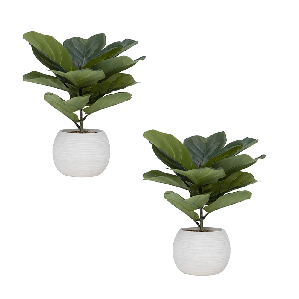 Vintage Home 16" Fiddle Leaf Fig Trees in Beige Ceramic Pots, 2 Pack