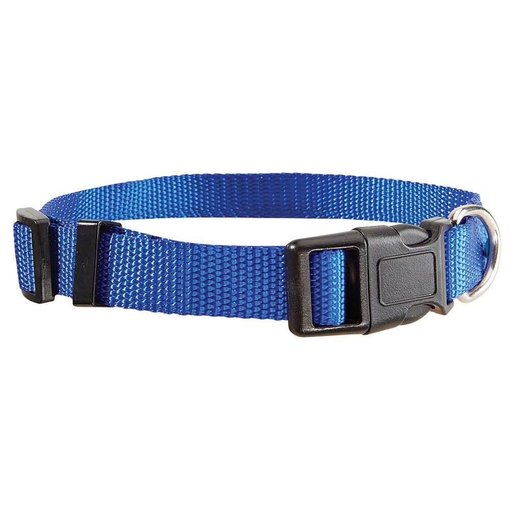 Pet Leader 5/8" Adjustable Pet Collar, Blue