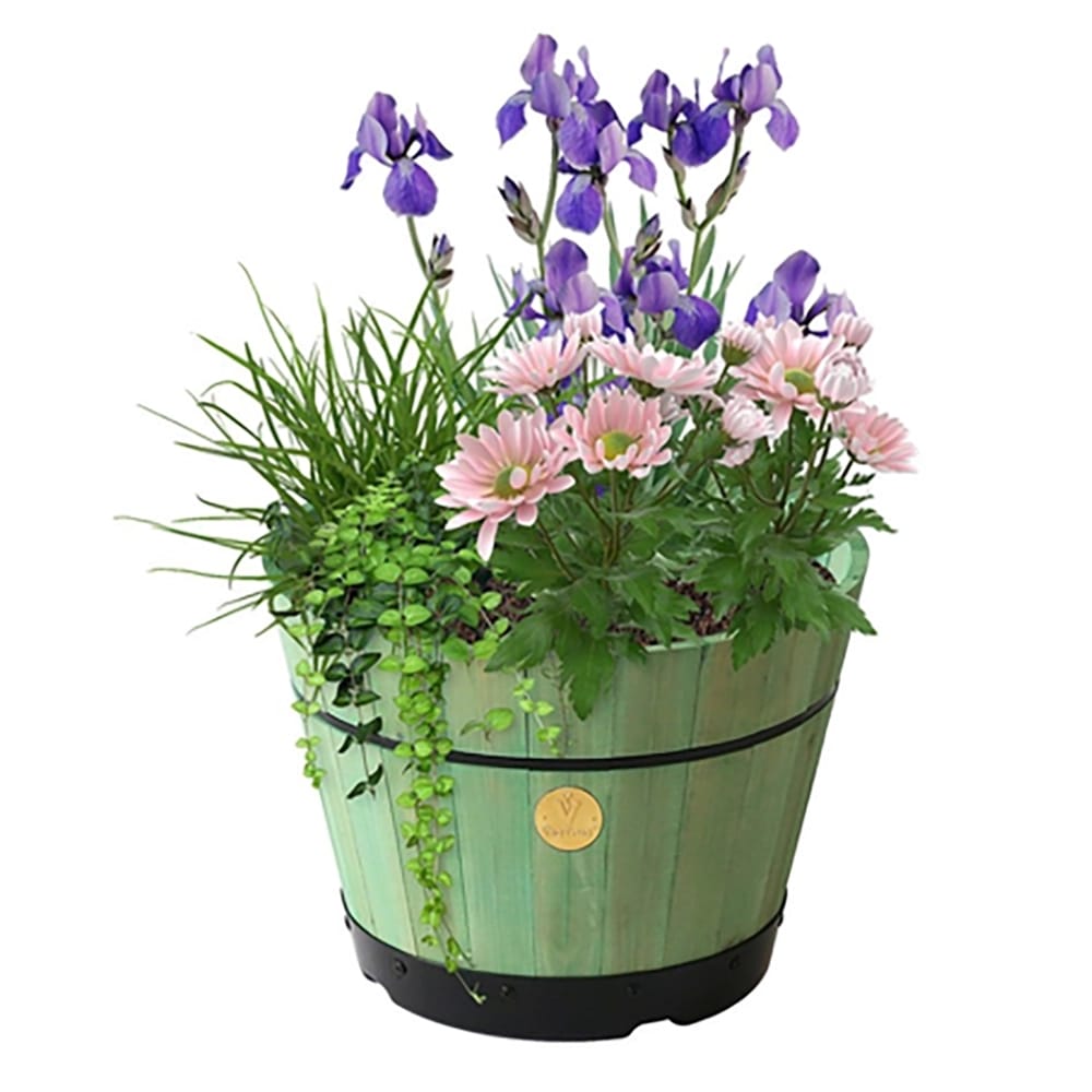 VegTrug Sage Green Whisky Barrel Planter, 18in.