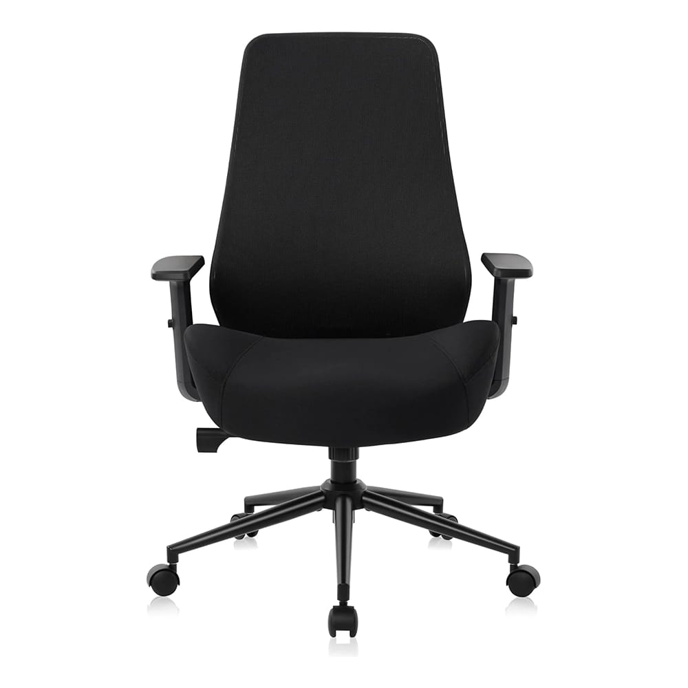 HYLONE Tall Office Chair with Adjustable Armrests, Black