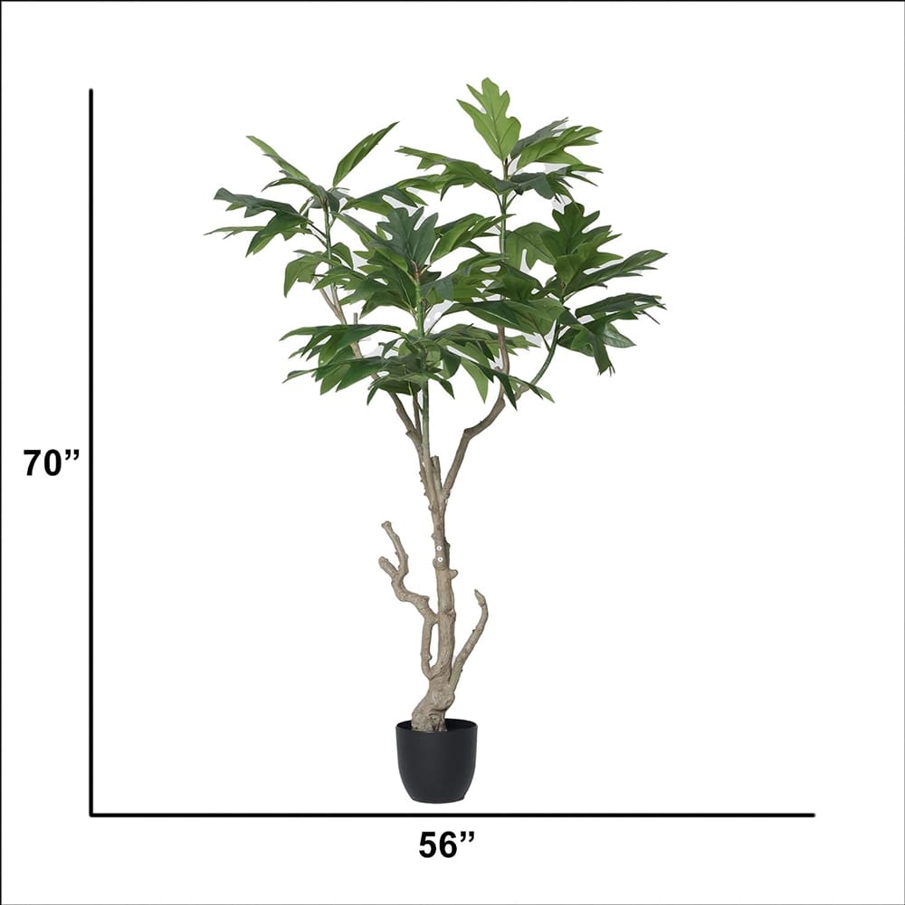 Vintage Home 70" Fiddle Tree in a Black Pot