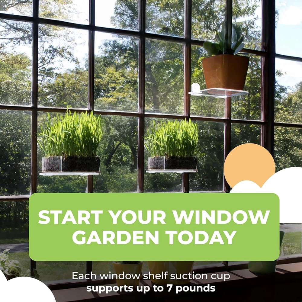 Window Garden Small Suction Cup Window Shelf, White, Set of 2