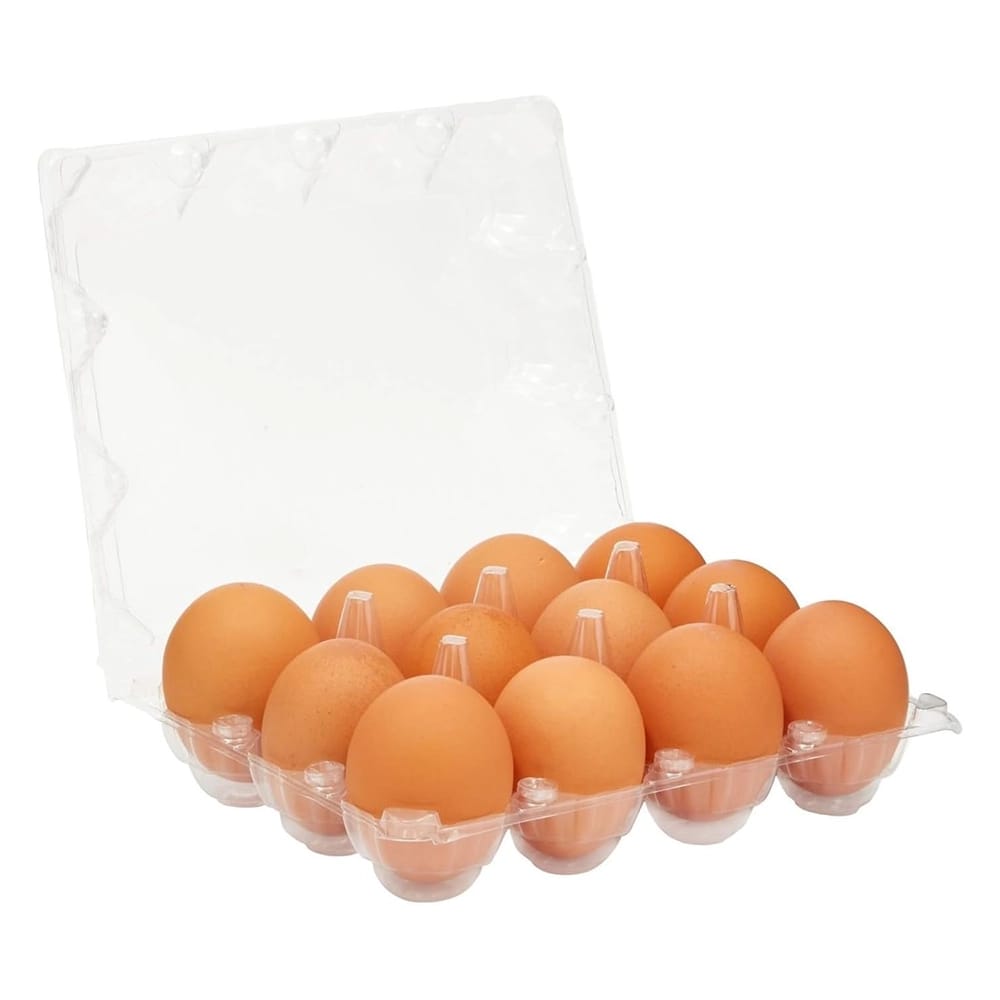 Stockroom Plus Clear Plastic Egg Cartons, 48 Pack