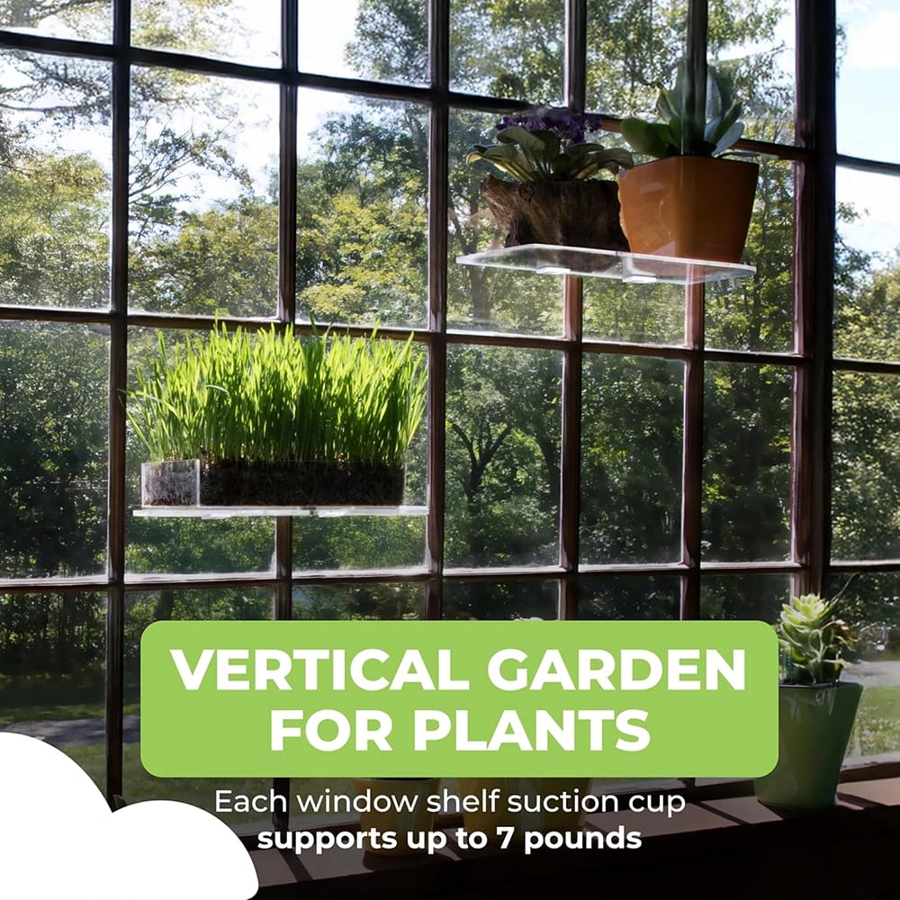 Window Garden Large Suction Cup Window Shelf, White, Set of 2