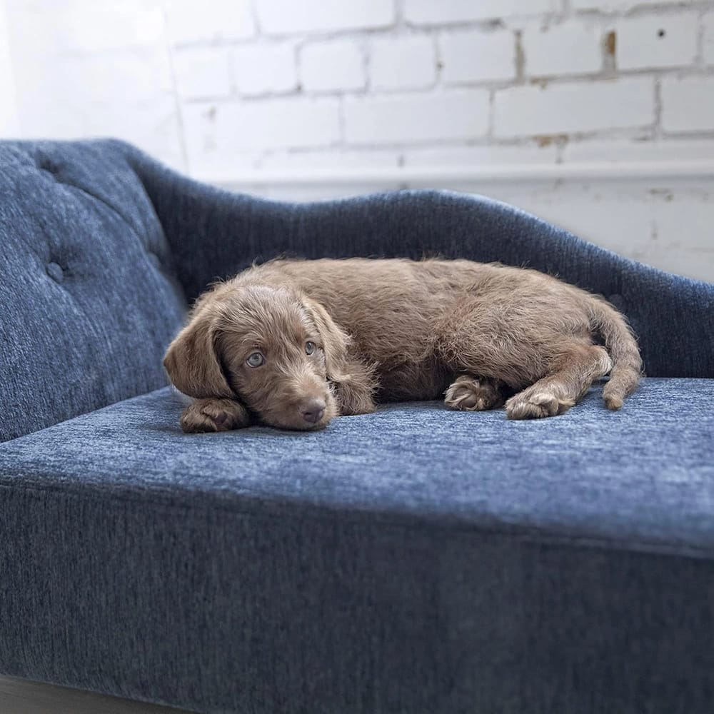 La-Z-Boy Large Chaise Lounger Dog Bed, Blue