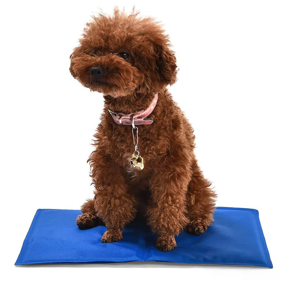 Small Pet Cooling Mat