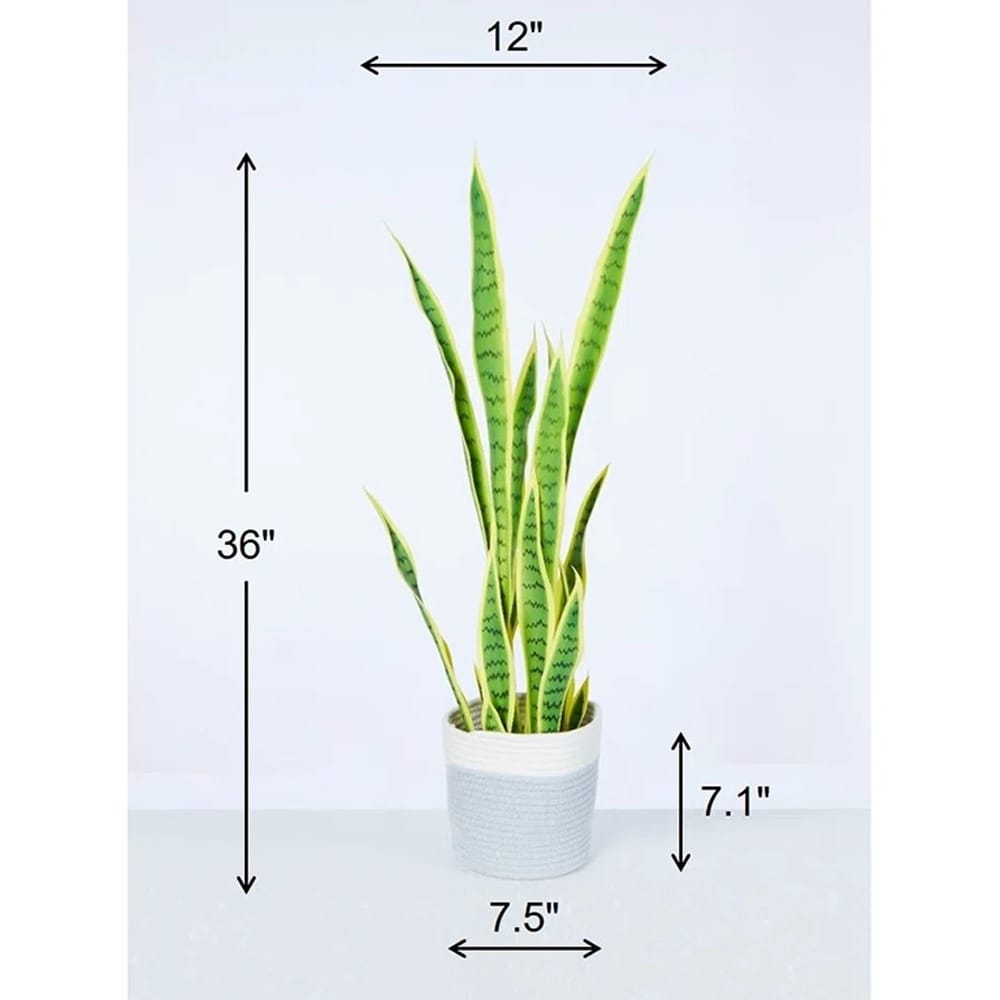 Vintage Home 36" Artificial Snake Plant in Rope Basket