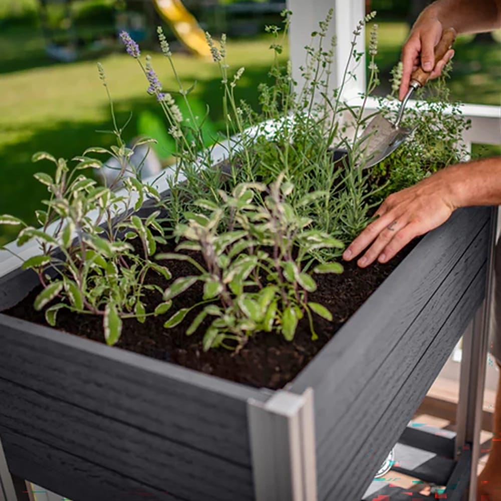 Vita Urbana Herb Farm, Slate Gray