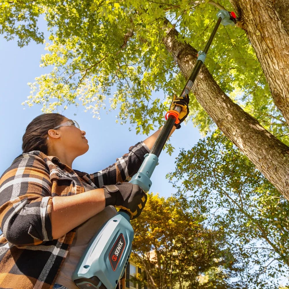 SENIX 58V Cordless Pole Saw