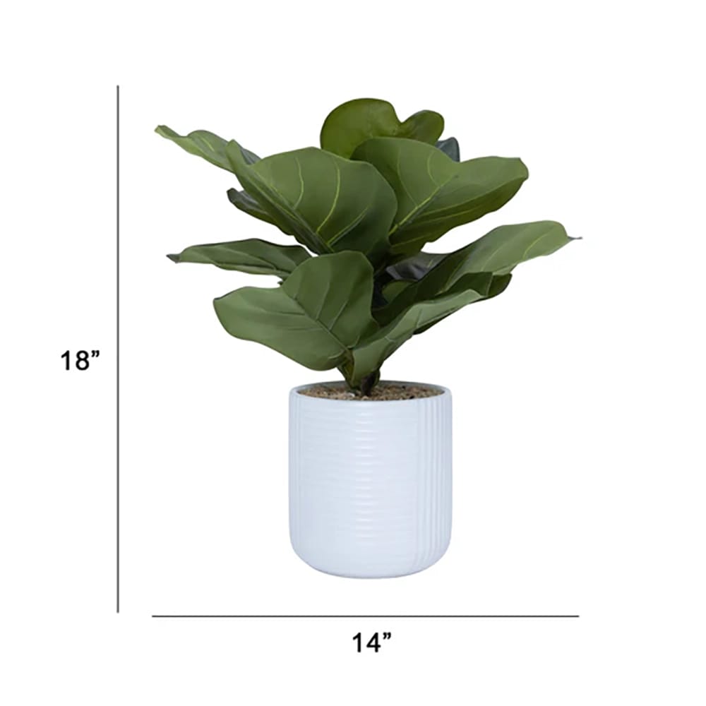 Vintage Home 18" Fiddle Leaf Fig Trees in White Ceramic Pots, 2 Count