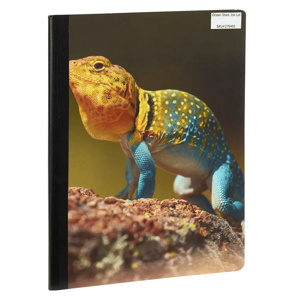 Lizard Composition Notebook, 100 Sheets, 5" x 7"