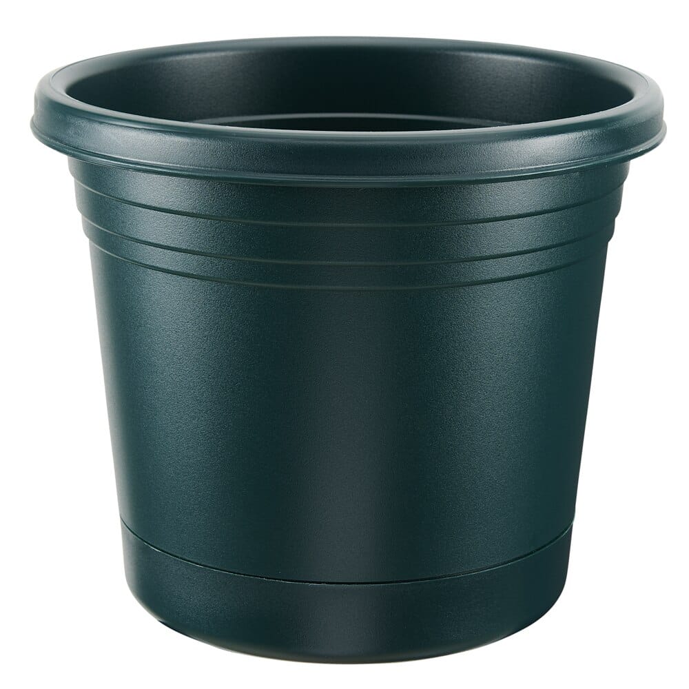 RUGG Rolled Rim Resin Planter, 6”