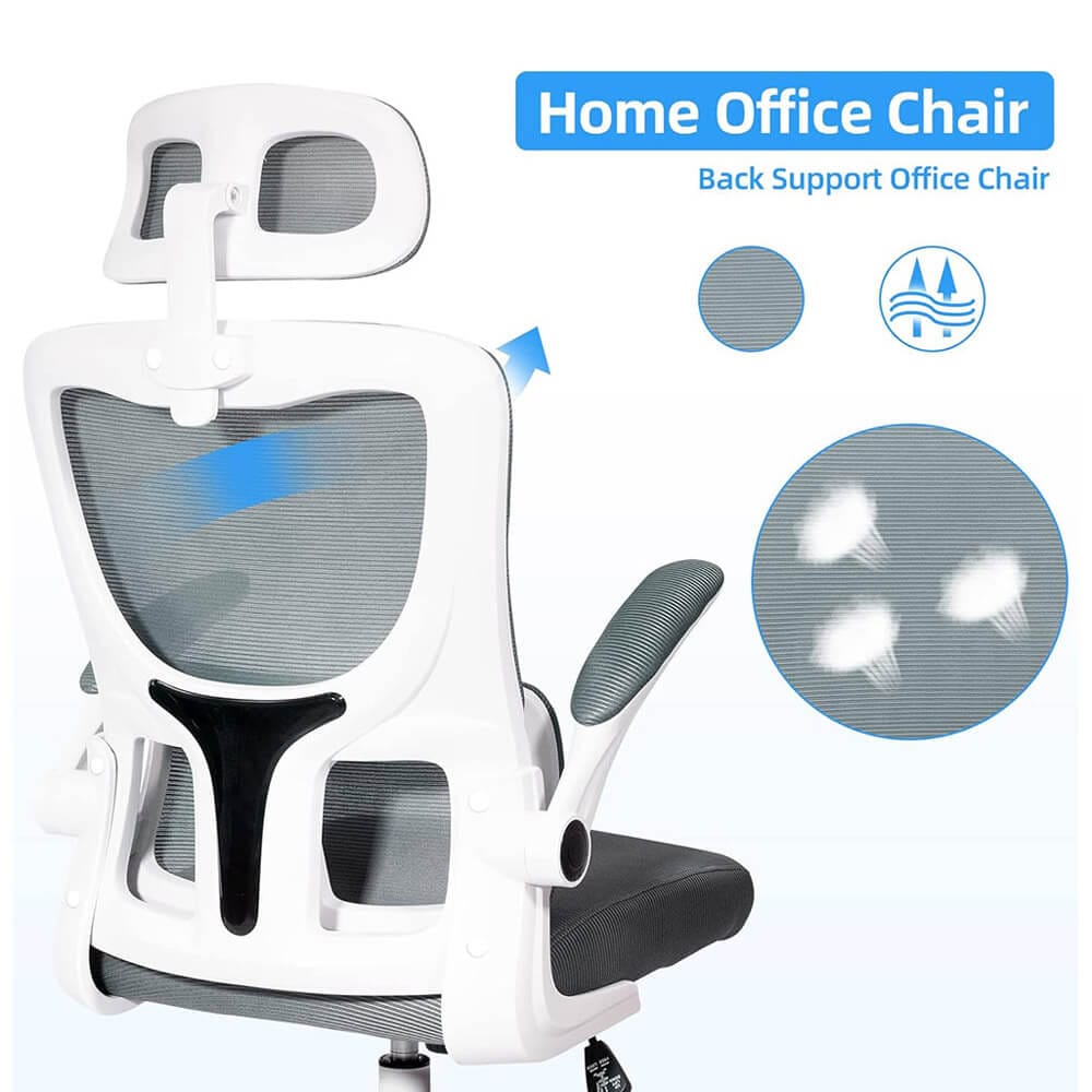 DualThunder Ergonomic Office Chair with Lumbar Support, Gray/White