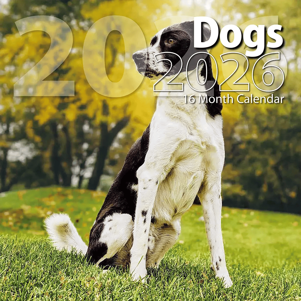 2026 Dogs Themed 16 Month Wall Calendar, 12"