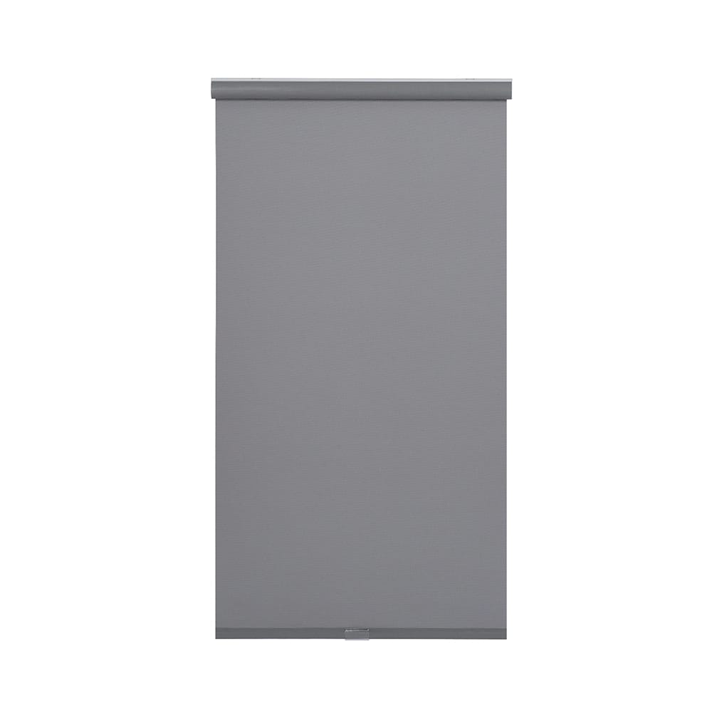 Cordless Sunscreen Roller Shade, Stone, 36" x 66"