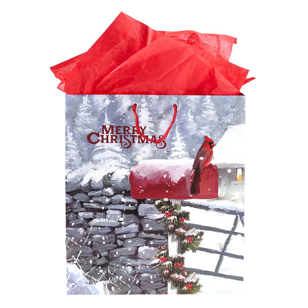 Large Wide Christmas Gift Bag