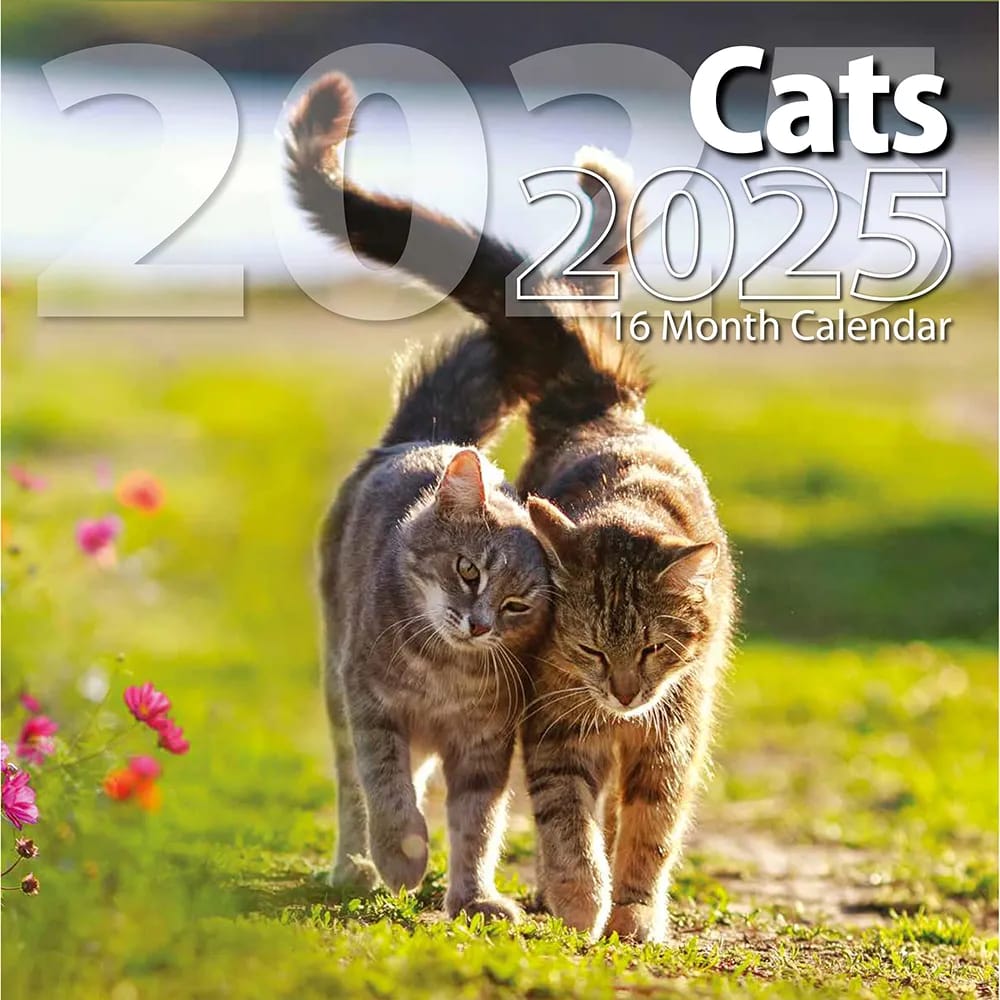 2025 Cats Themed 16 Month Wall Calendar, 12"