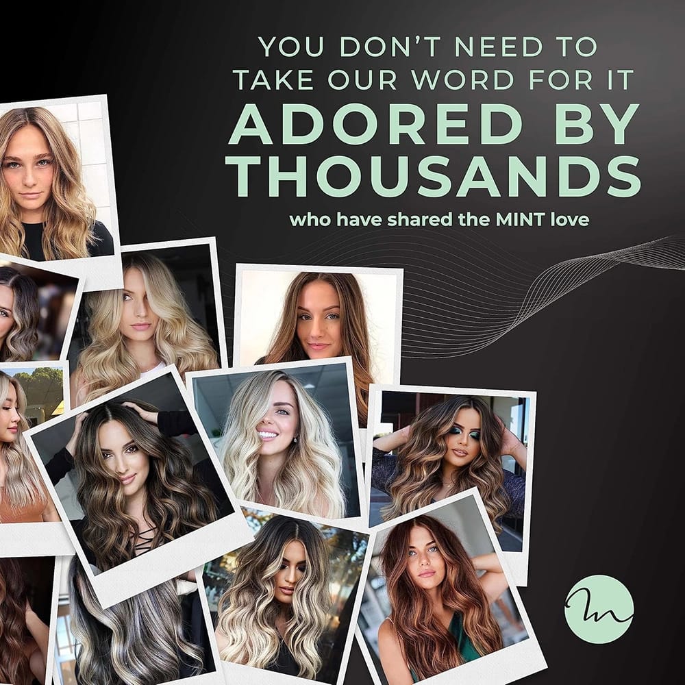 MINT Hummingbird Smart Professional Hair Dryer with Diffuser, Black