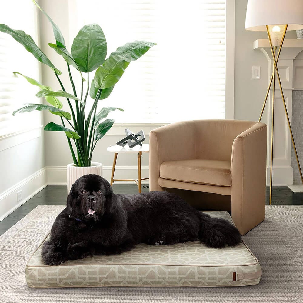 Bark & Slumber XL Foam Lounger Dog Bed, Biscuit Beige