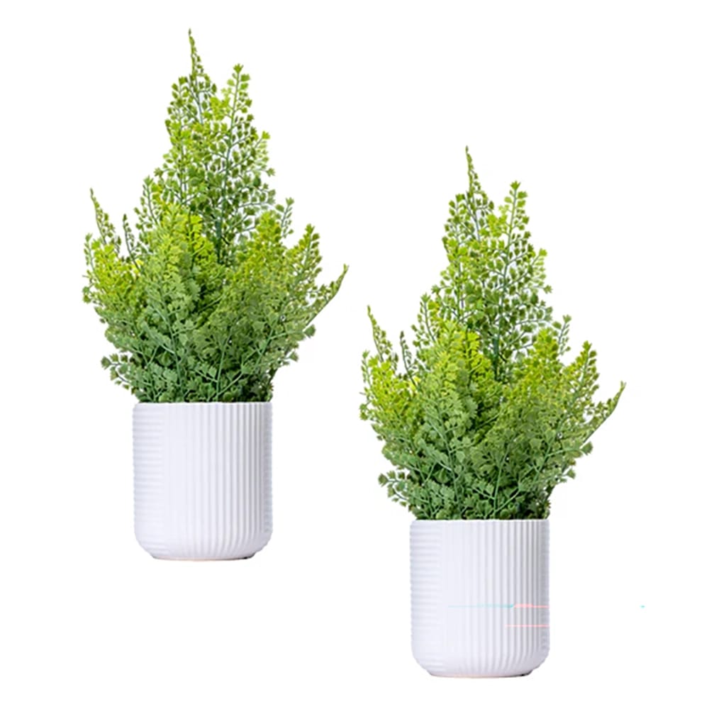 Vintage Home 20" Ferns with Real-Touch Leaves in White Ceramic Planters, 2 Pack