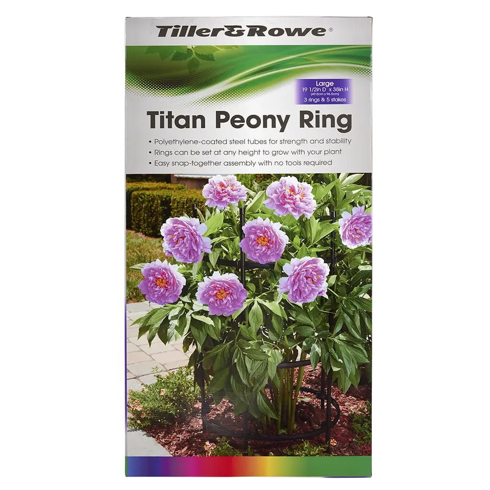 Tiller & Rowe Large Titan Peony 3-Ring Plant Support, 38"