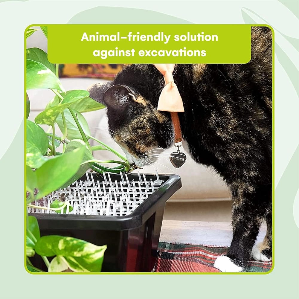 Homarden 6.5' Transparent Outdoor Training Mat for Cats
