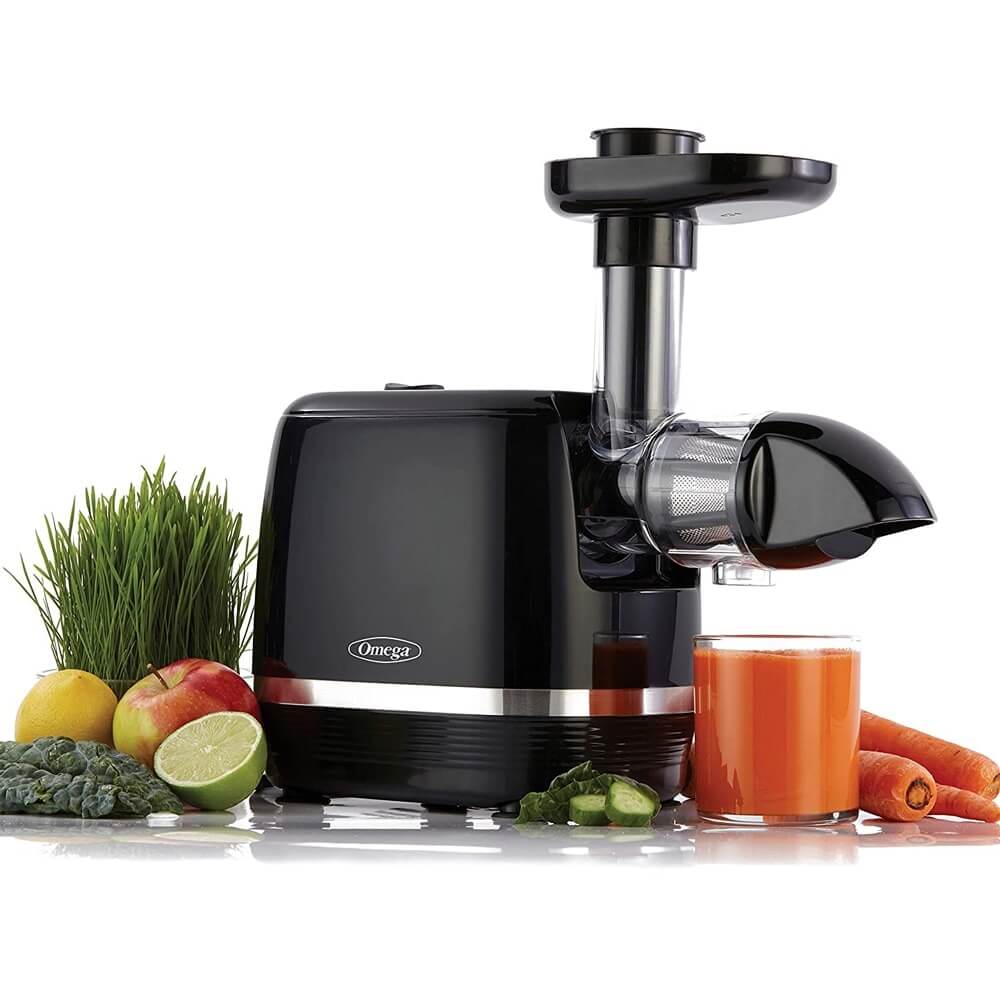 Omega Cold Press 365 Juicer