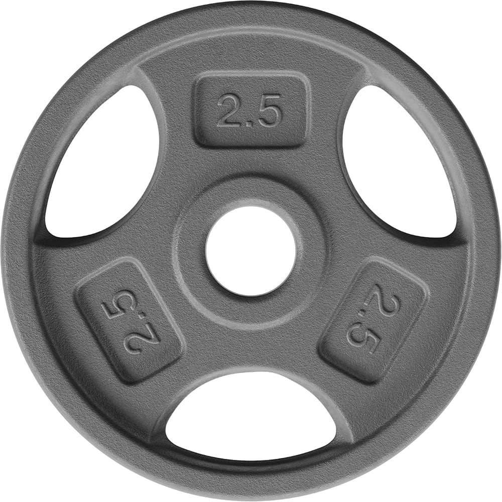 Yes4All Cast Iron 1-Inch Grip Weight Plate, 2.5 lb