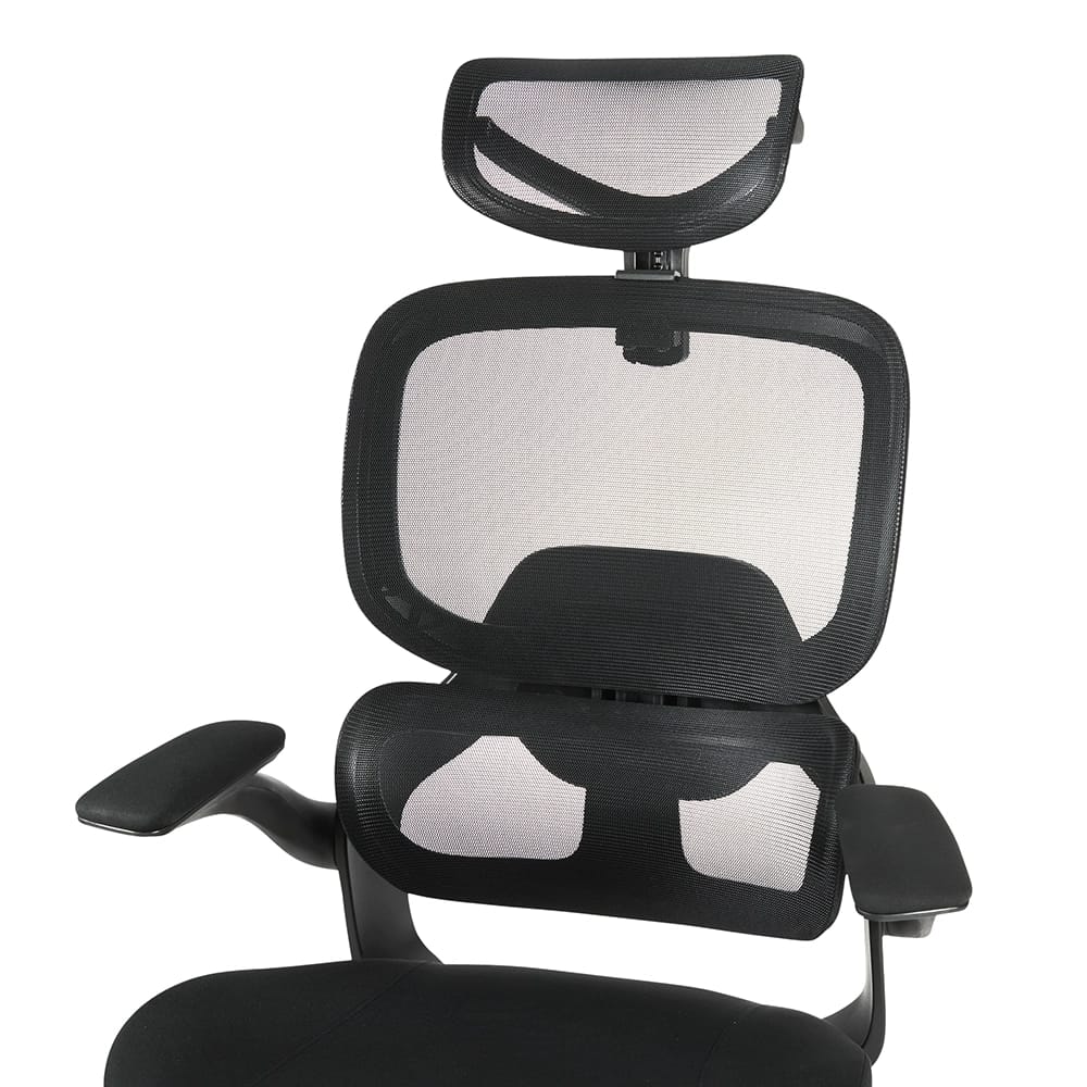 FAMSINGO Ergonomic Office Executive Chair, Black