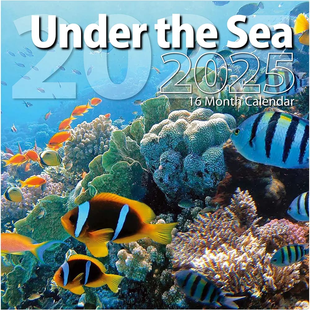 2025 Under the Sea Themed 16 Month Wall Calendar, 12"