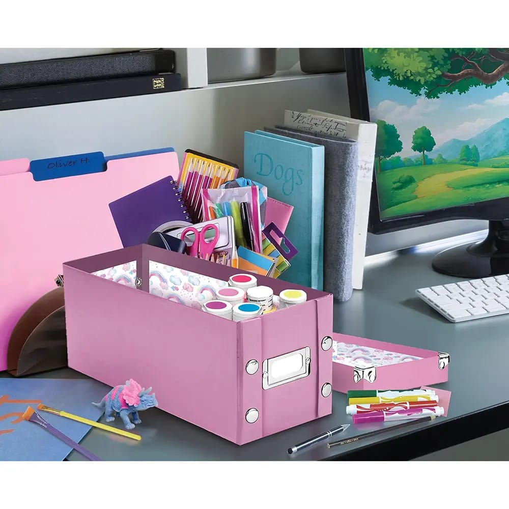 Snap-N-Store Medium Collapsible Storage Box, Pink/Rainbow, 2 Pack