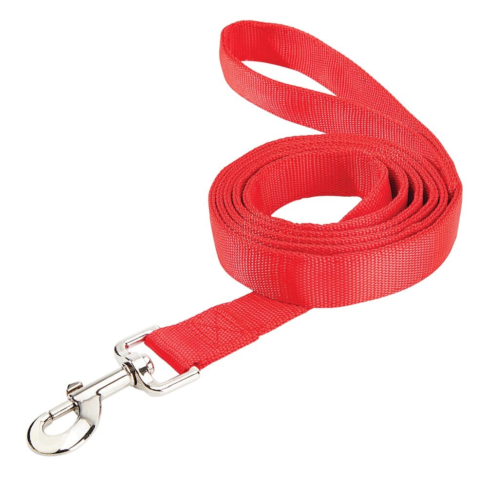 Pet Leader 1" x 6' Pet Leash, Red