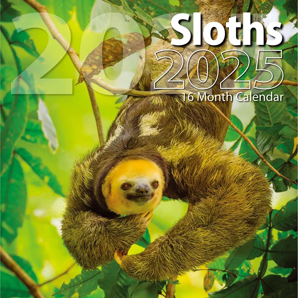 2025 Sloths Themed 16 Month Wall Calendar, 12"