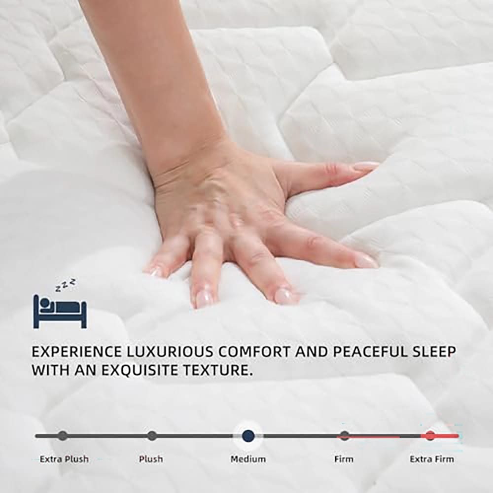 MOLBIUS 10" Medium Firm Feel Memory Foam Mattress, Queen