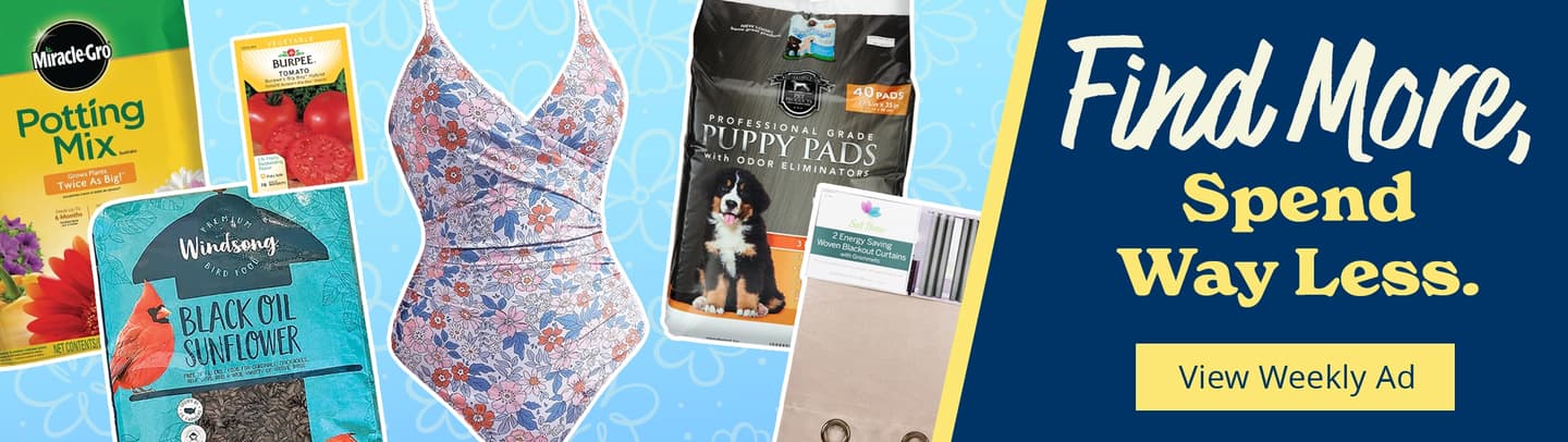 49th anniversary celebration - click to learn more