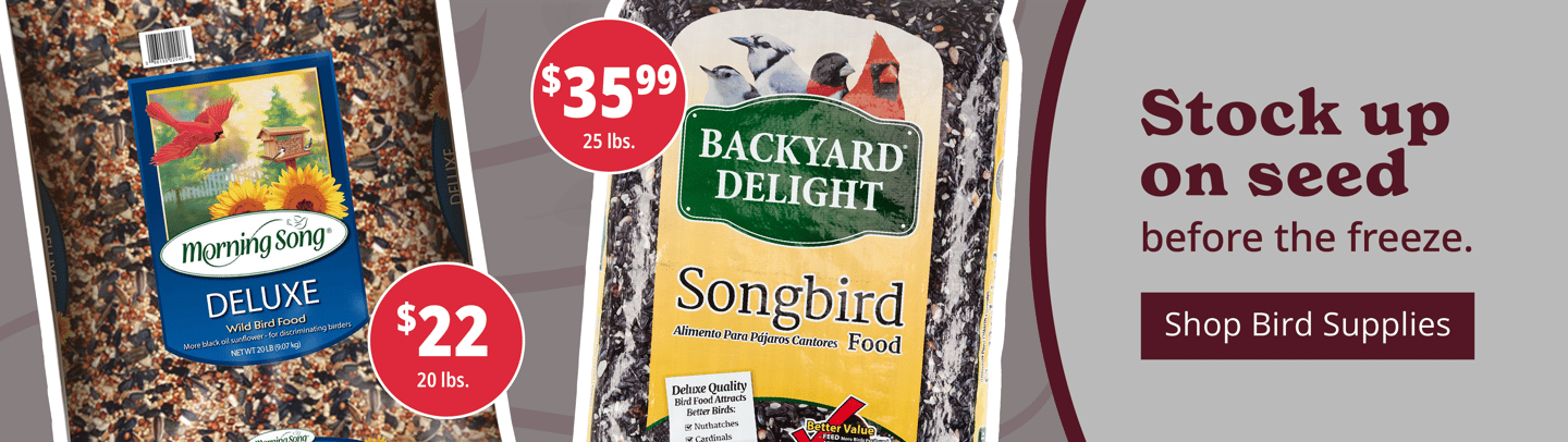 Stock up on seed before the breeze. [Shop Bird Supplies]