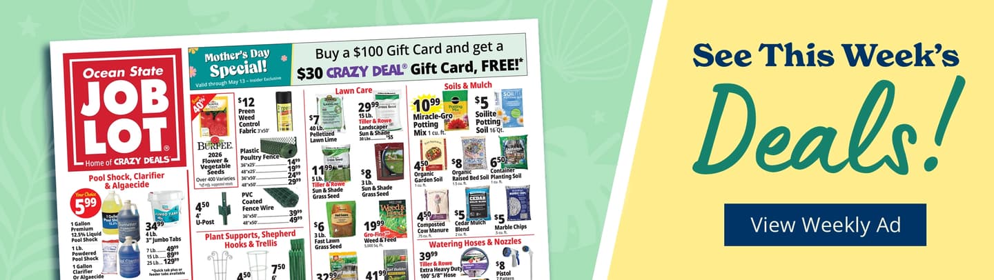 49th anniversary celebration - click to learn more