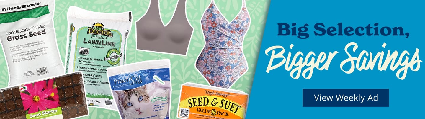 49th anniversary celebration - click to learn more