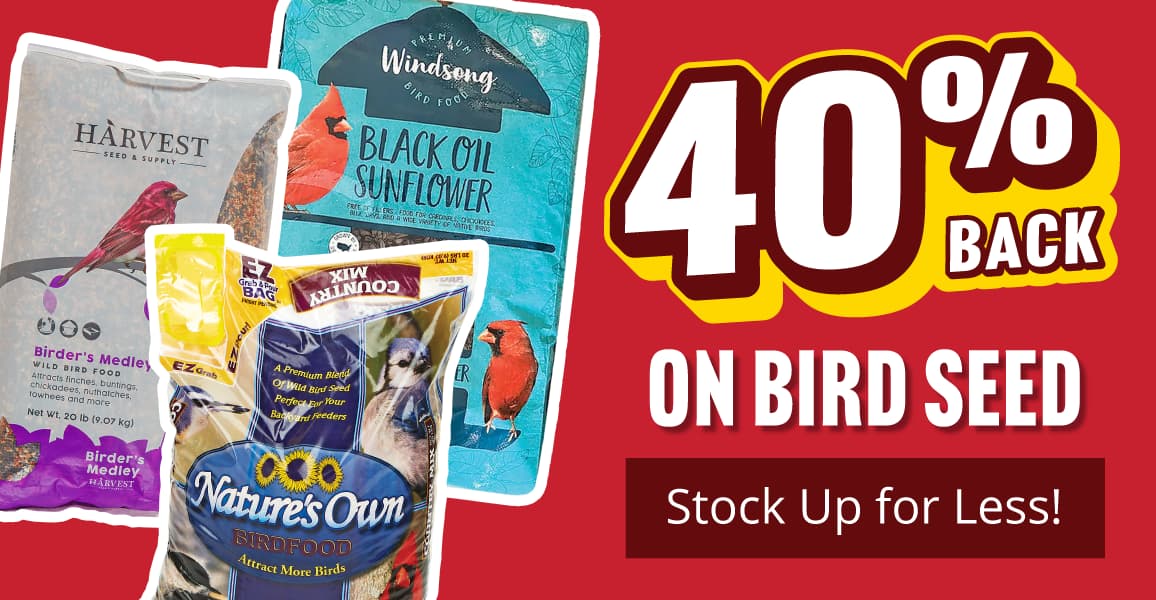 40% back on bird seed