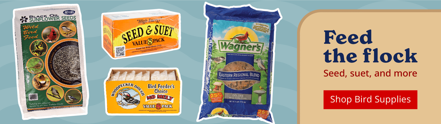 Shop Bird Supplies