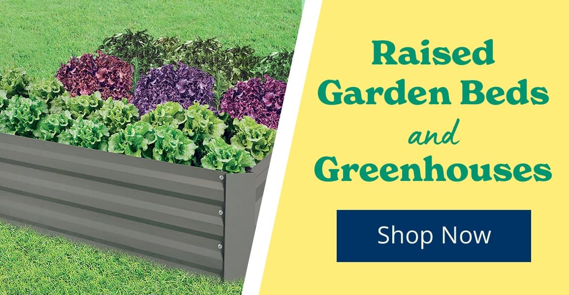 Raised Garden Beds & Greenhouses [Shop Now]