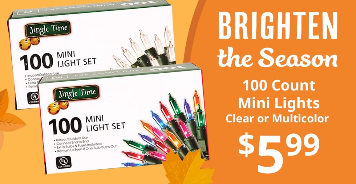 100 count Mini Lights, Clear or Multicolor, $5.99