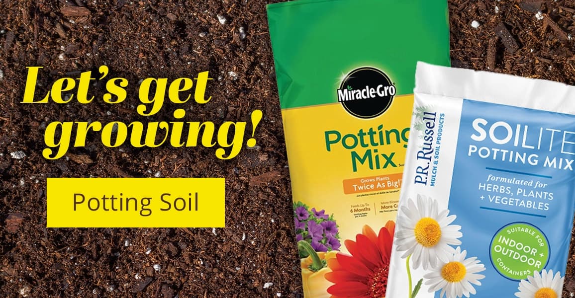 Let's get growing! [Potting Soil]