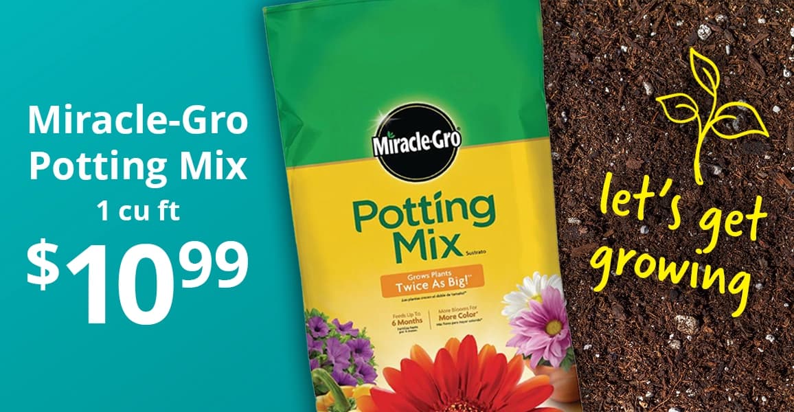 Miracle-Gro Potting Mix, $10.99.