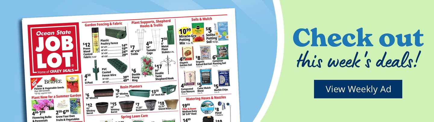 49th anniversary celebration - click to learn more